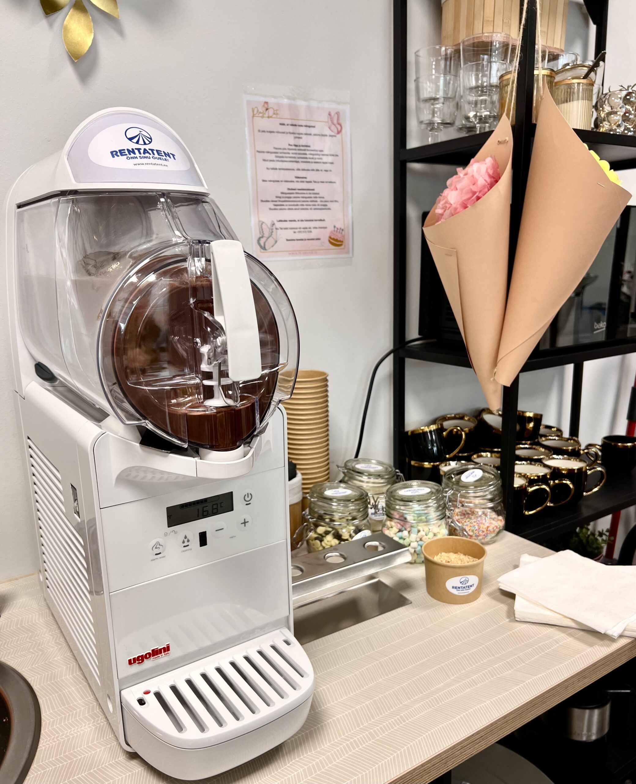 Pehmejäätisemasin MINIGEL 1 rent